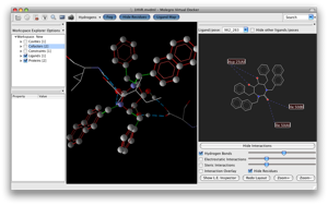 Ligand Map